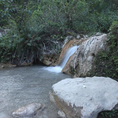 Perfect Stayz Premium Forest Valley Near Waterfall Rishīkesh Exterior foto